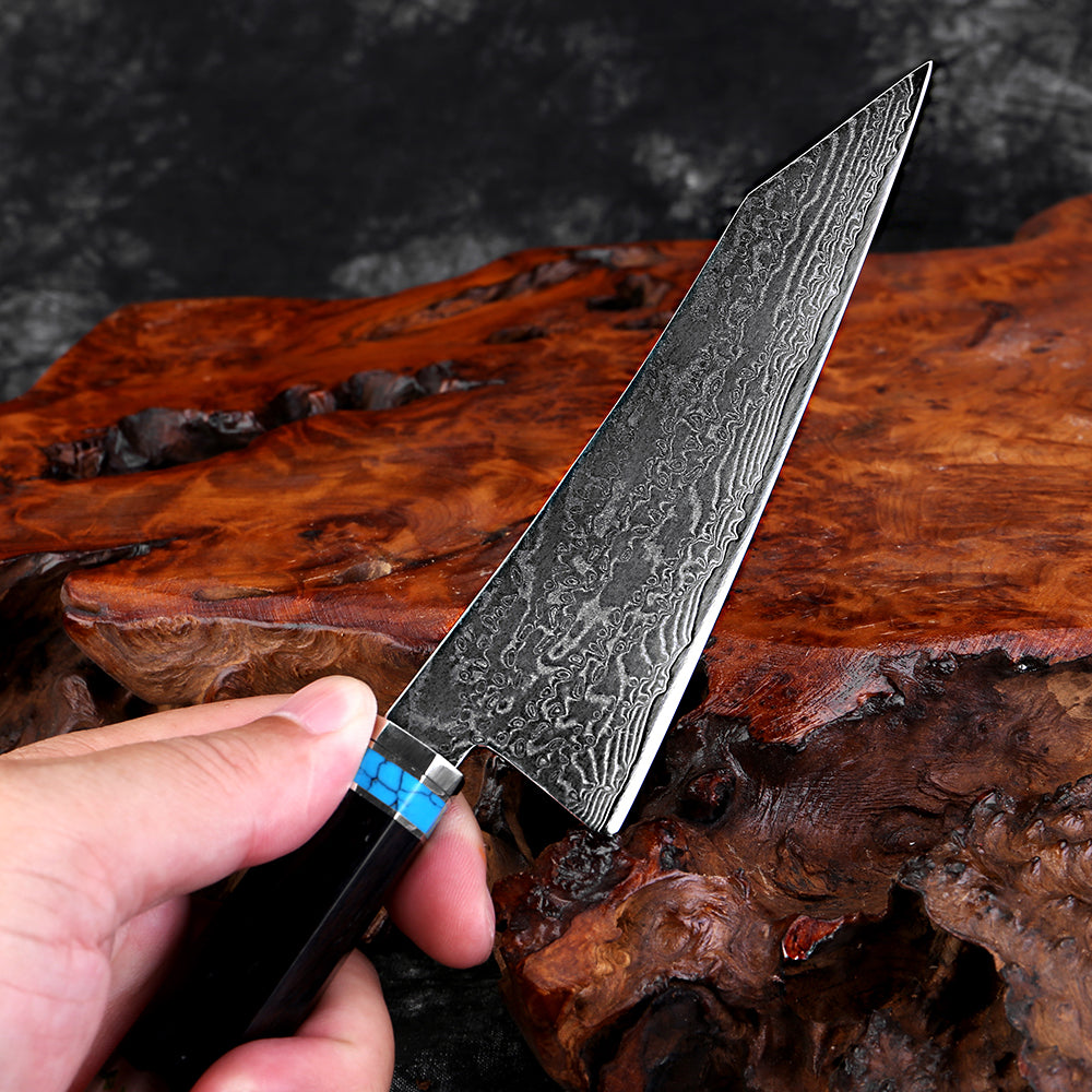XITUO Damascus Kitchen Utility Knife, 5" Paring Knife VG10 Damascus Steel 67-Layer Blade,Perfect for Peeling,Slicing & Trimming